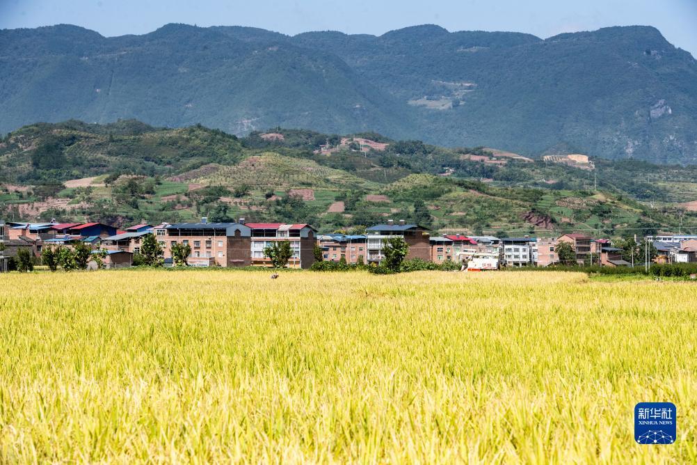 手机澳门赌场是什么